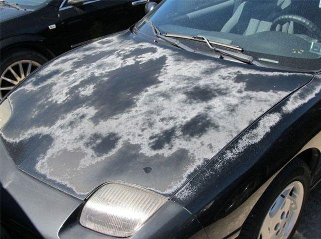 Car Heat Damage Without Tint & PPF | Why Arizona Drivers Need Protection